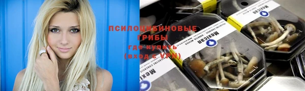 твердый Майский