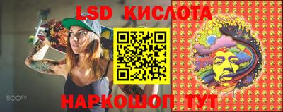 ГАЛЛЮЦИНОГЕННЫЕ ГРИБЫ Аргун