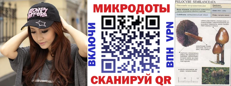 Псилоцибиновые грибы мицелий  как найти   Балаково 